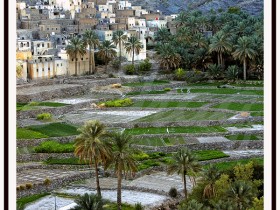 صور من ابداع اعضاء عمان فوتو