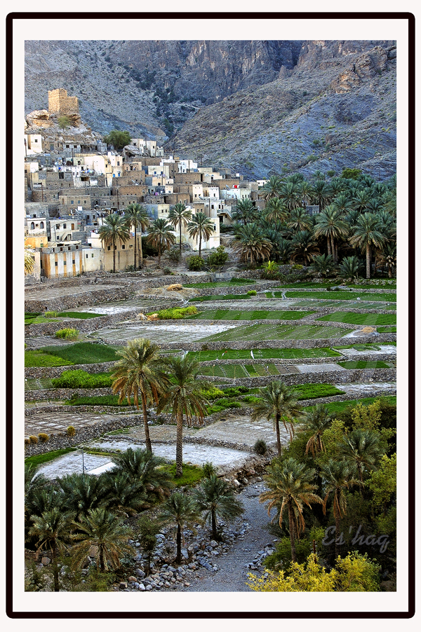 صور من ابداع اعضاء عمان فوتو