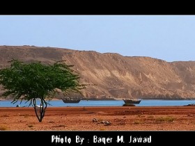 صور من ابداع اعضاء عمان فوتو