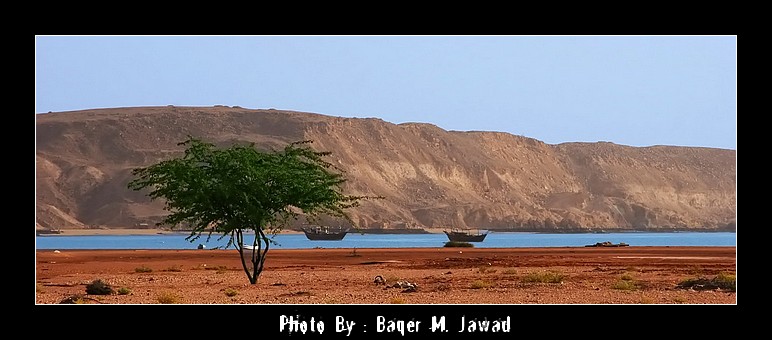 صور من ابداع اعضاء عمان فوتو