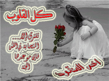 تصاميم