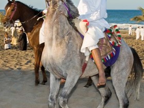 صور من ابداع اعضاء عمان فوتو