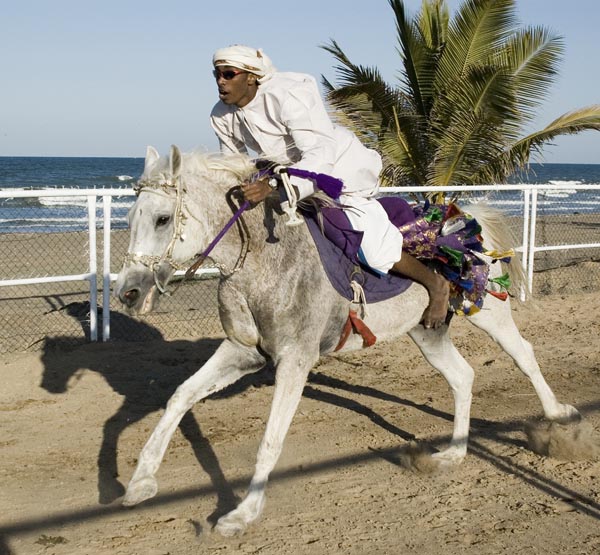 صور من ابداع اعضاء عمان فوتو