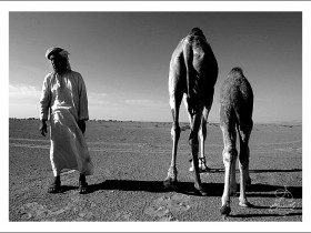 صور من ابداع اعضاء عمان فوتو