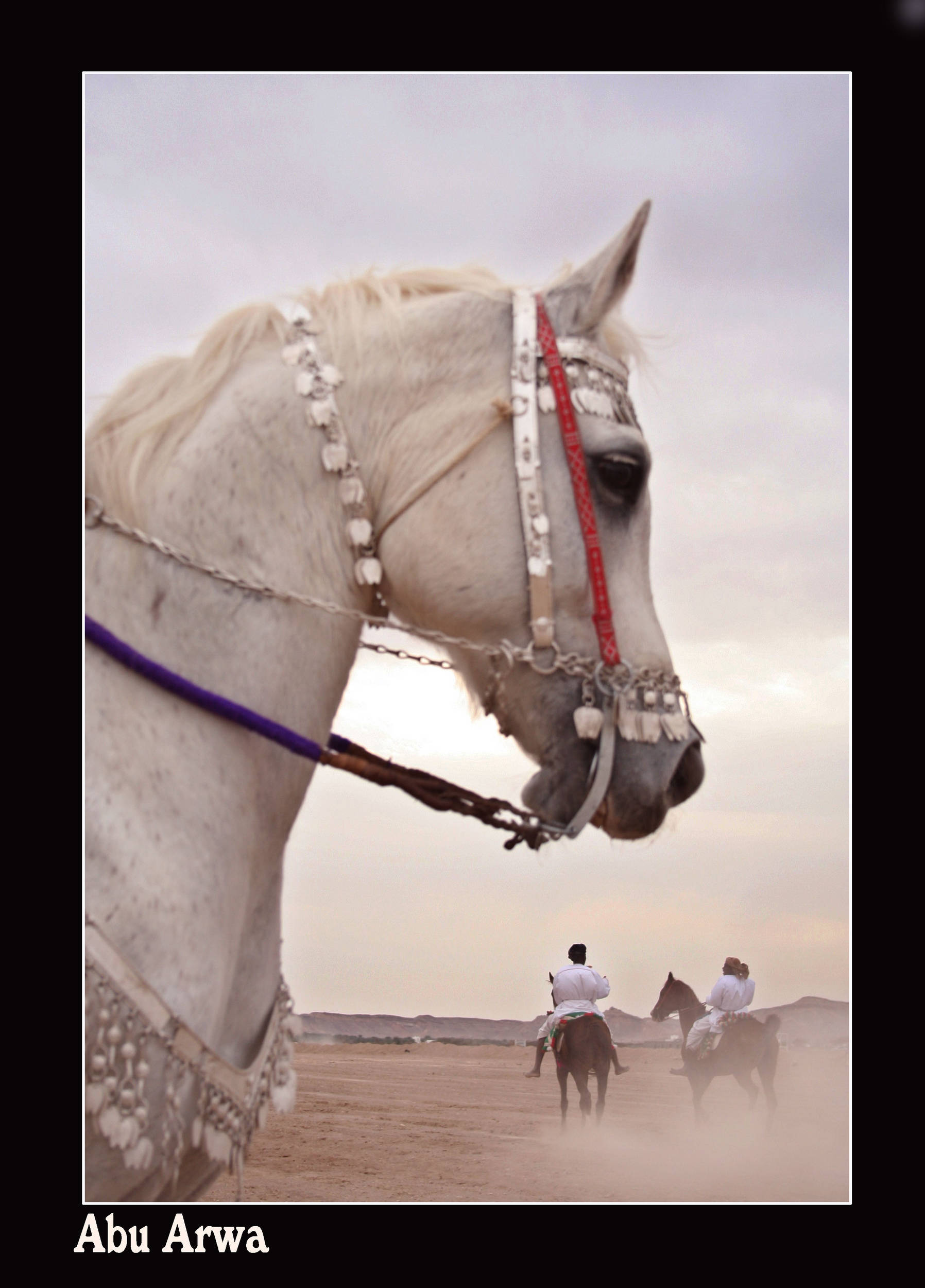 صور من ابداع اعضاء عمان فوتو