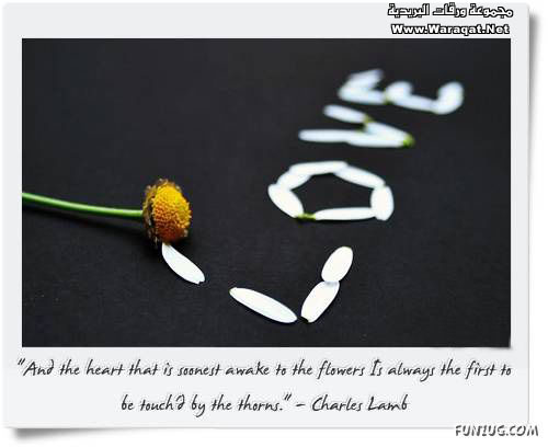 al7oob_card11