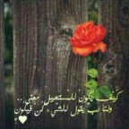 IMG-20130908-WA0008