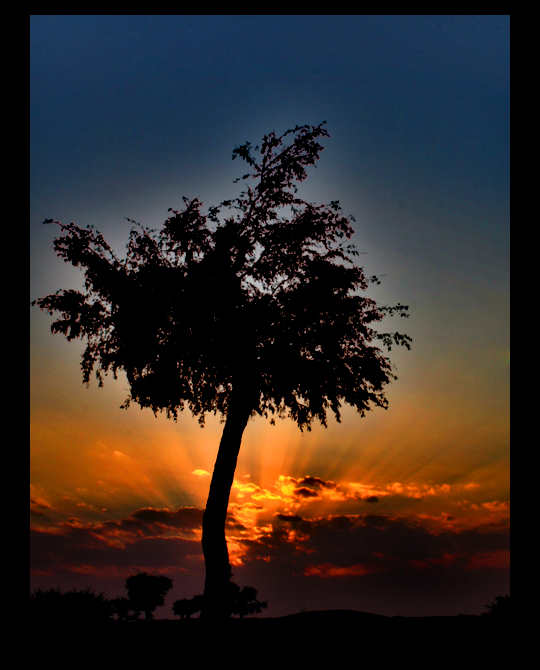 صور من ابداع اعضاء عمان فوتو