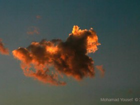 صور من ابداع اعضاء عمان فوتو