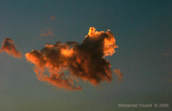 صور من ابداع اعضاء عمان فوتو