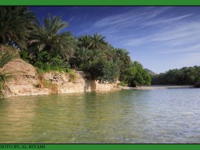 صور من ابداع اعضاء عمان فوتو