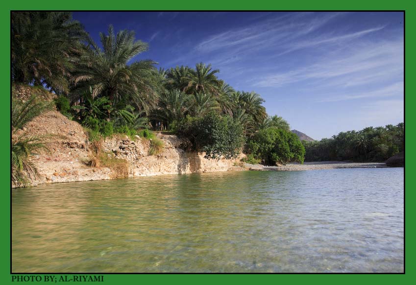 صور من ابداع اعضاء عمان فوتو