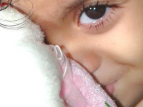 صور من ابداع اعضاء عمان فوتو