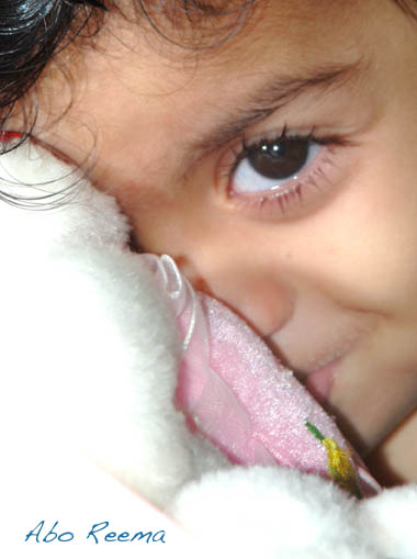 صور من ابداع اعضاء عمان فوتو