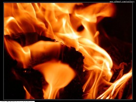 nice_pic_design_photo_30_