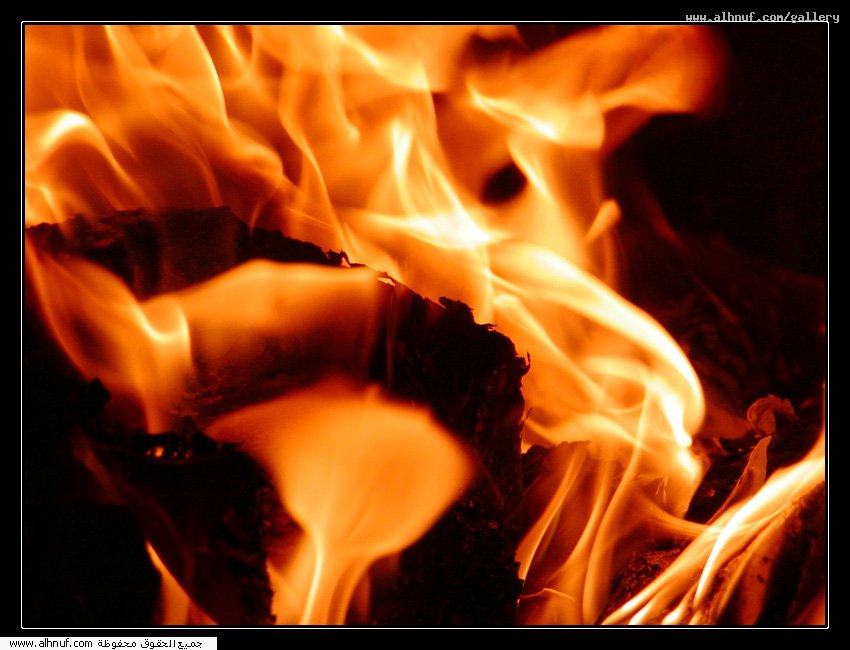 nice_pic_design_photo_30_