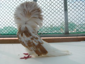 w6w_200505231854135ce16961_1_