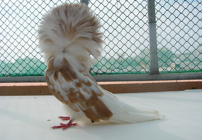 w6w_200505231854135ce16961_1_