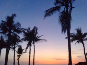 صور من ابداع اعضاء عمان فوتو