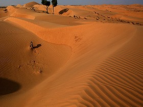 صور من ابداع اعضاء عمان فوتو