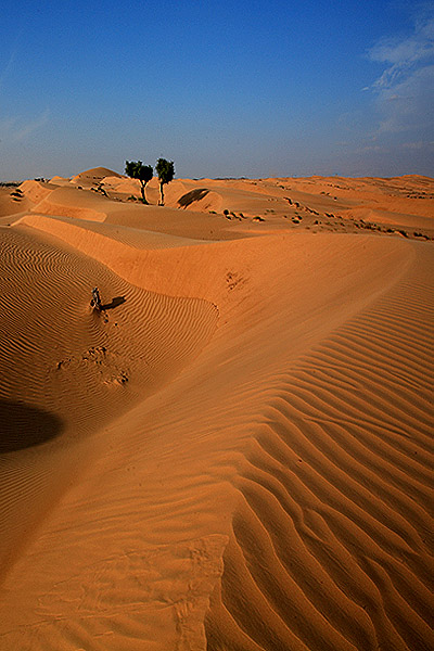 صور من ابداع اعضاء عمان فوتو