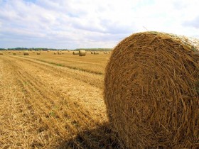 صور منوعة من الإنترنت