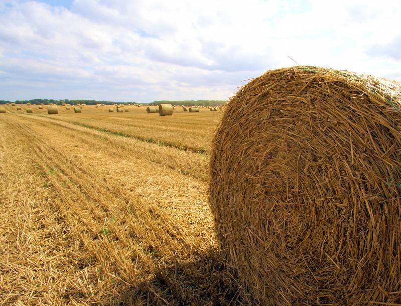 صور منوعة من الإنترنت