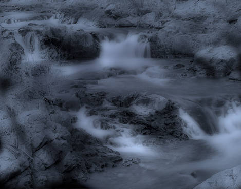 صور منوعة من الإنترنت
