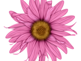 BVS_pink_valentine_bt_flower05