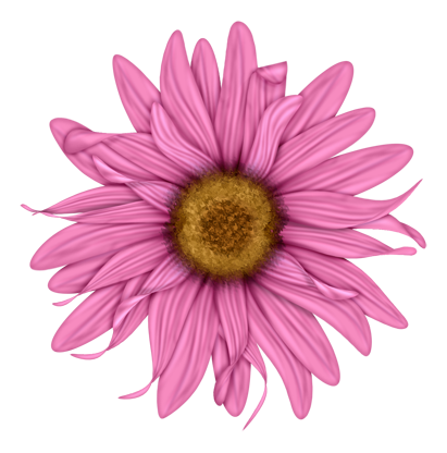 BVS_pink_valentine_bt_flower05