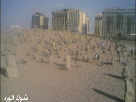 3417