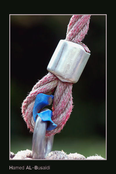 صور من ابداع اعضاء عمان فوتو