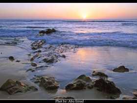 صور من ابداع اعضاء عمان فوتو