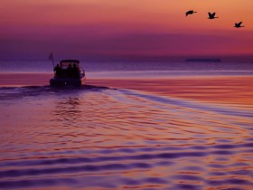 صور منوعة من الإنترنت