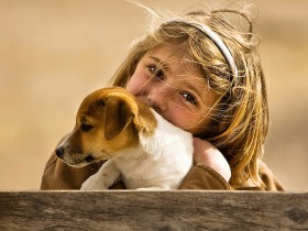 صور منوعة من الإنترنت