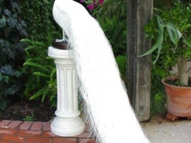 3acdf0d6e64b551ed573a22a4b5f1249_1_