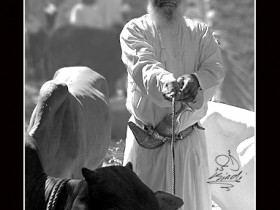 صور من ابداع اعضاء عمان فوتو