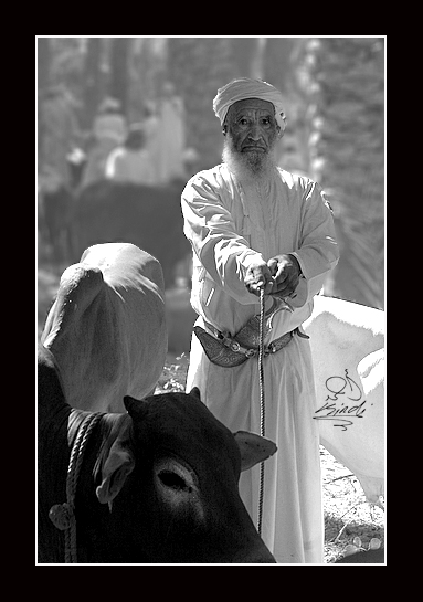 صور من ابداع اعضاء عمان فوتو