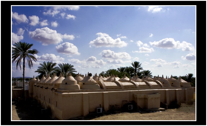 صور من ابداع اعضاء عمان فوتو