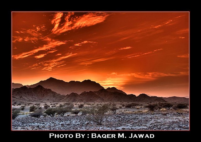 صور من ابداع اعضاء عمان فوتو