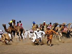صور من ابداع اعضاء عمان فوتو