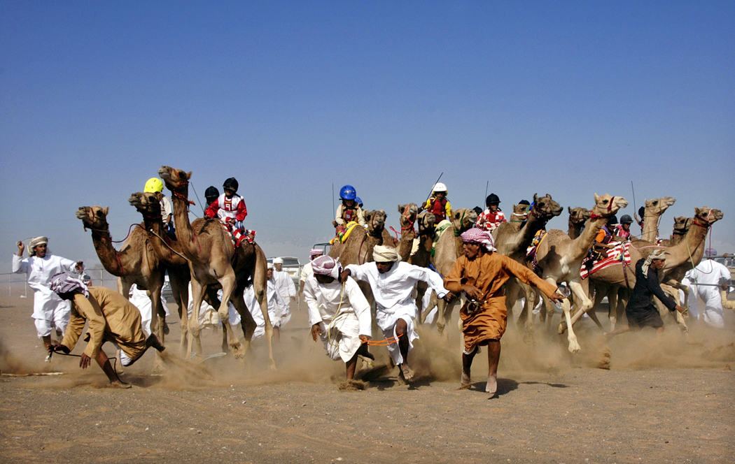 صور من ابداع اعضاء عمان فوتو