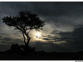 صور من ابداع اعضاء عمان فوتو