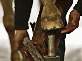 صور منوعة من الإنترنت