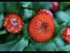 1554708-e3ce6c91f28dea29_1_