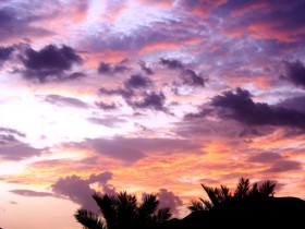 صور من ابداع اعضاء عمان فوتو