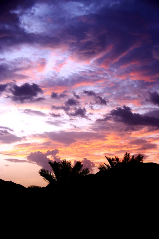 صور من ابداع اعضاء عمان فوتو