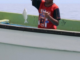 صور من ابداع اعضاء عمان فوتو