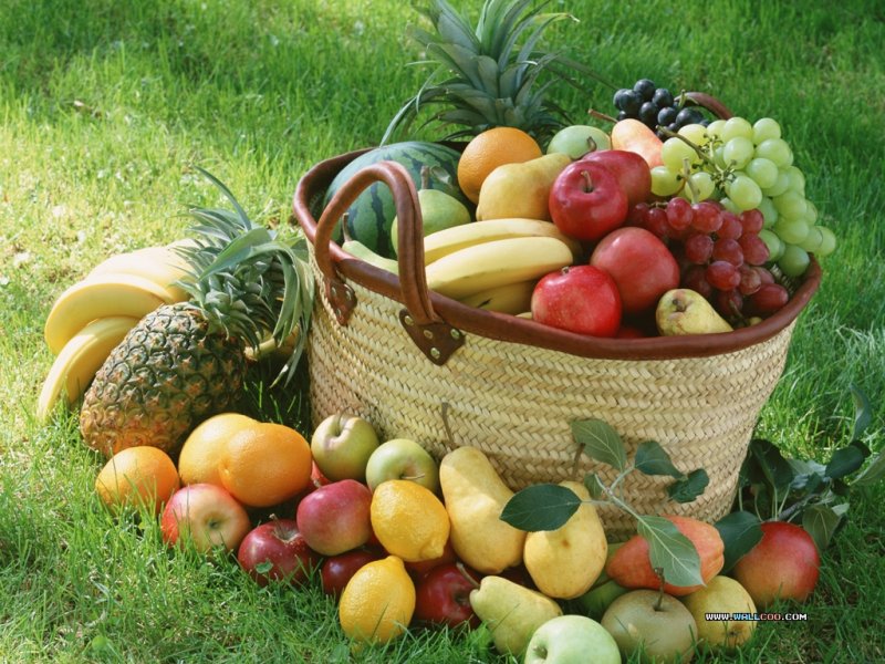 Background_104_2_