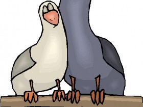 BIRD947_1_